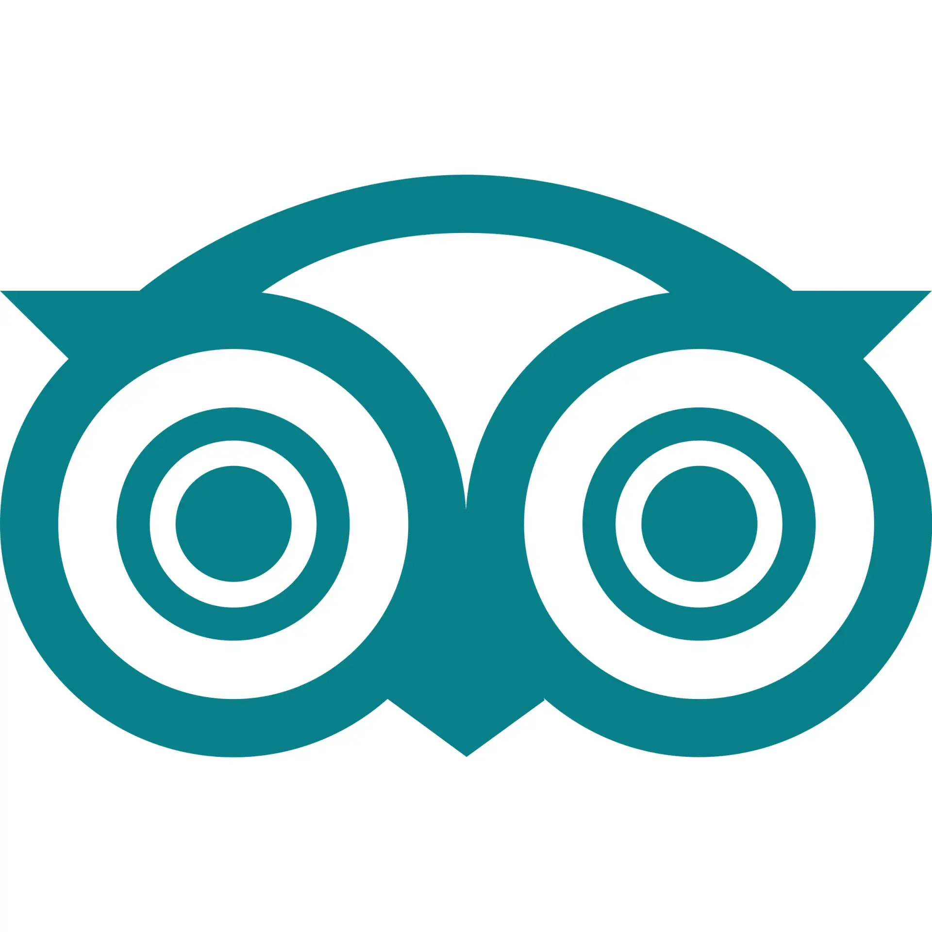 TripAdvisor review platform logo